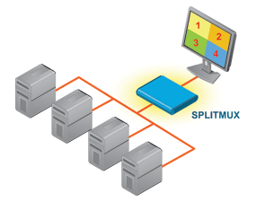 nti-app-multiviewer